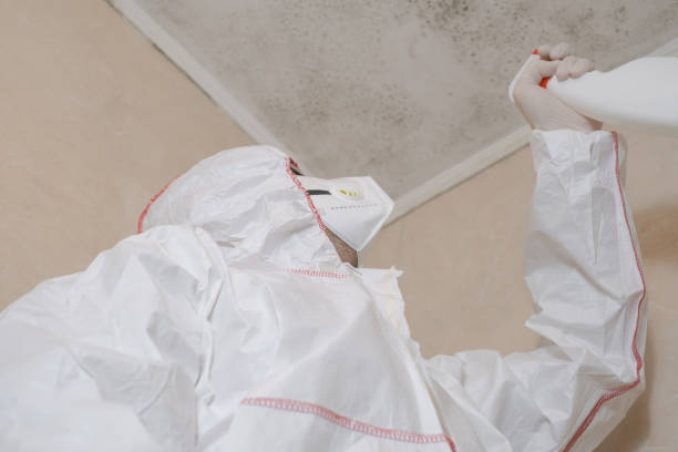 Best Attic Mold Removal  in Grove, OK